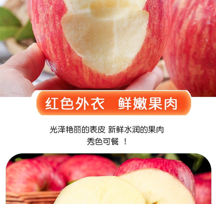 微信图片_202006231233586