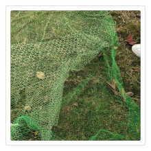 �S�����a���l�������Ӈ������Sֲ���W߅�·N�ݹ������Ϻ��l؛�Gɫ