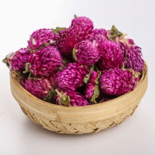 千日紅圖片 海量高清千日紅圖片大全 阿里巴巴