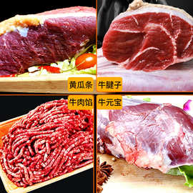 内蒙古冷冻生鲜牛肉馅500g新鲜生牛肉牛元宝黄瓜条金钱腱牛腱子