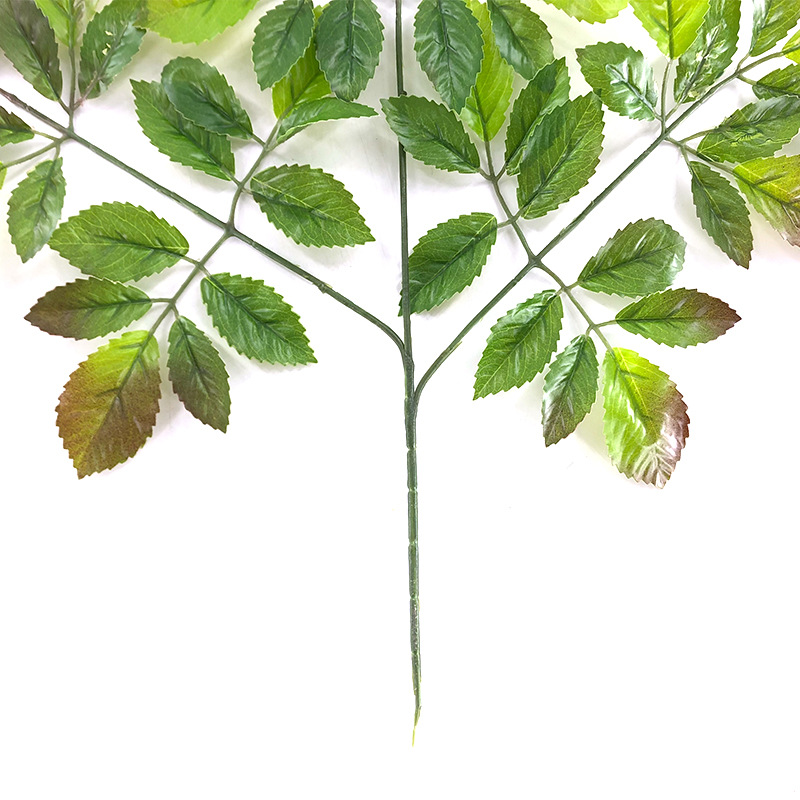 XRB-109 榆树叶三叉枝 (4).jpg