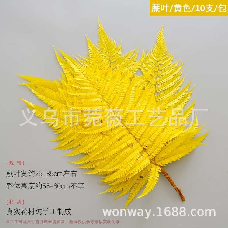 微信图片_20200601160021