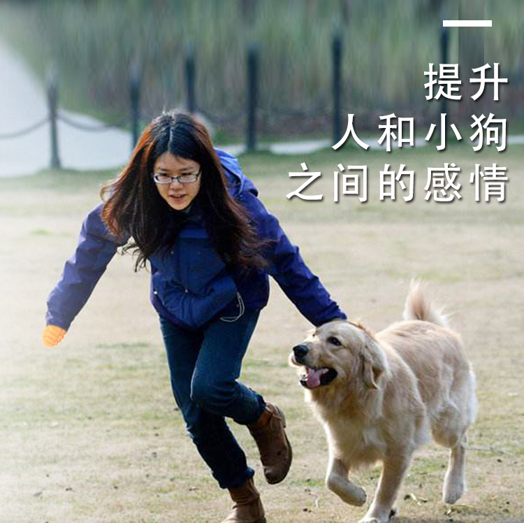 宠物玩具2020新款 橡胶狗咬玩具球 训狗磨牙耐咬发声狗狗玩具批发