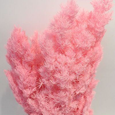 家居风永生花配饰干花插花80G蓬莱松拍摄道具客厅茶几办公桌装饰|ms