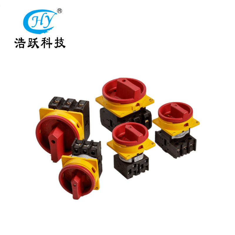 Manufactor LW42 series Universal pass switch Direct selling security rotate switch LW42B25-1017/LF101