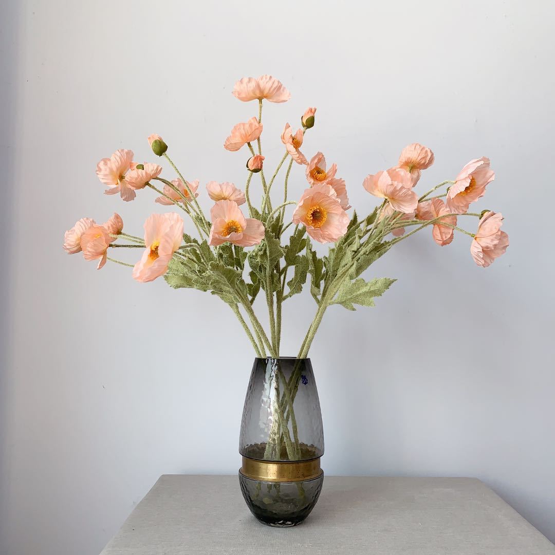 217dc564f1cbb097f00a215882557e