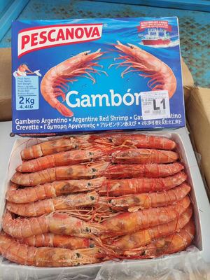 批发供应冷冻进口阿根廷大红虾老船长L1酒店食材|ms