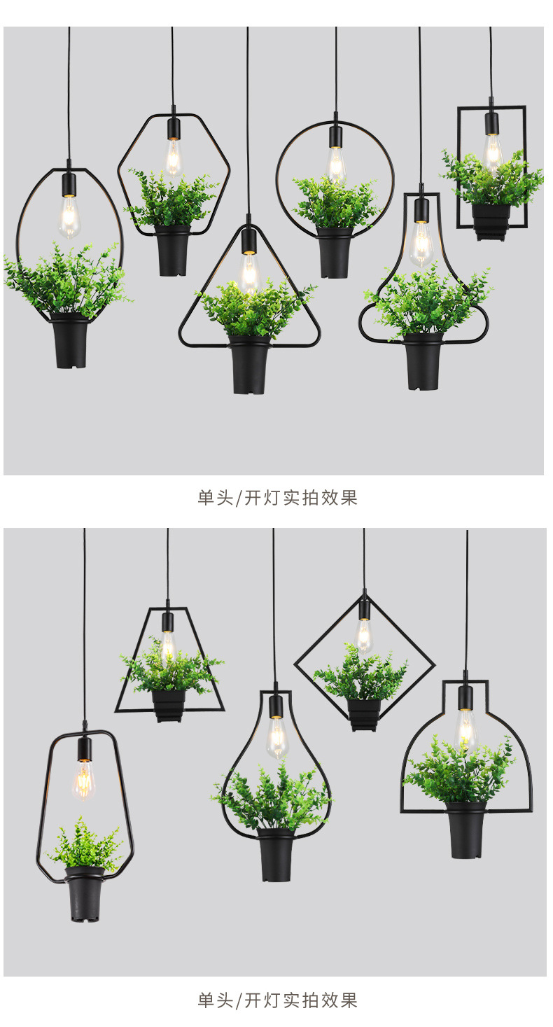 植物灯_12.jpg