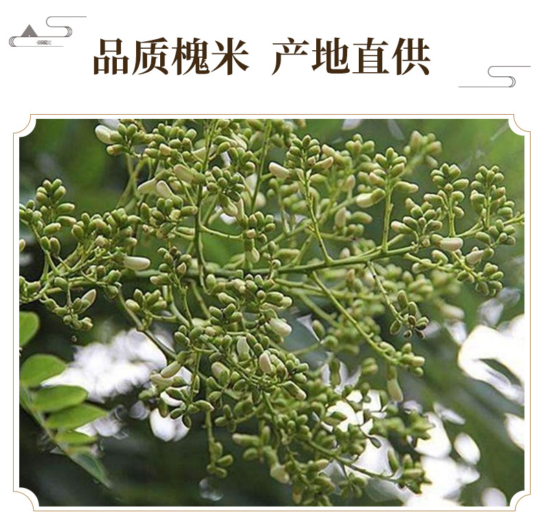 Huai Mi Sophora Bud Dried Huaihua Flower Buds Natural Sun Dried Herbal Tea Ingredient 500g key features