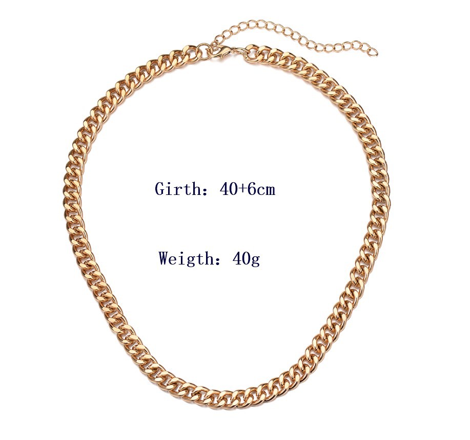 Hot Selling Jewelry Simple Chain Short Necklace Metal Clavicle Chain display picture 1