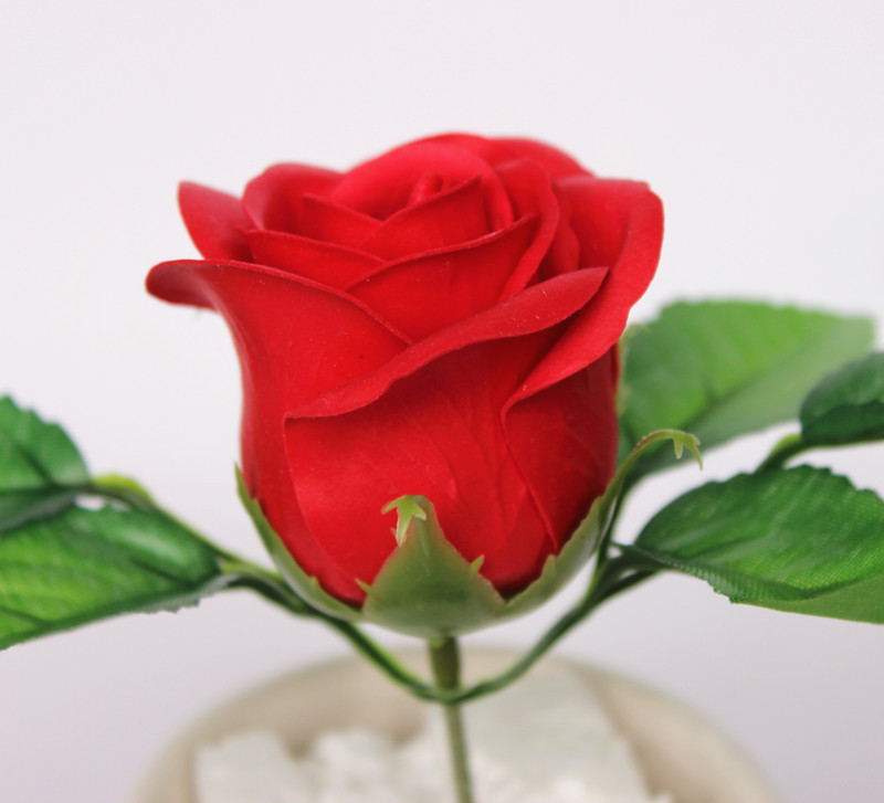 一键复制_20200227134213