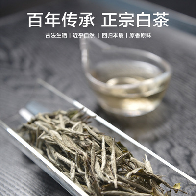 武夷山漳墩白茶白牡丹白茶太姥山350g野生小白茶牡丹王白茶禮盒裝
