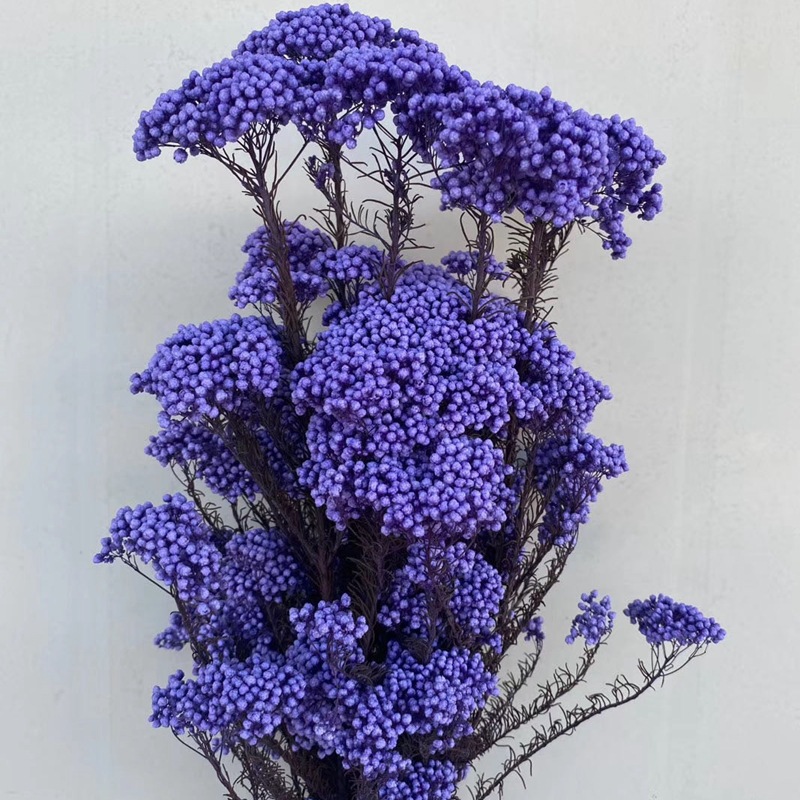 微信图片_20200408183228