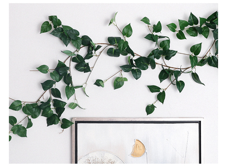 常春藤大链接详情-兰韵_06