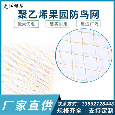大洋网具果园蔬菜大棚防鸟网花卉防鸟网加粗耐磨耐晒葡萄园防护网|ru