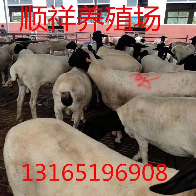 mmexport1571581351768.jpg