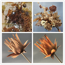 ��ɫ�¿����\���^���������滨��Y�üҾӲ廨�b[����c���ϻ�