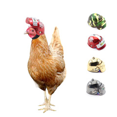 Amazon best-selling creative cross-border new pet supplies chicken helmet mother hen safety hat bird hat head cover