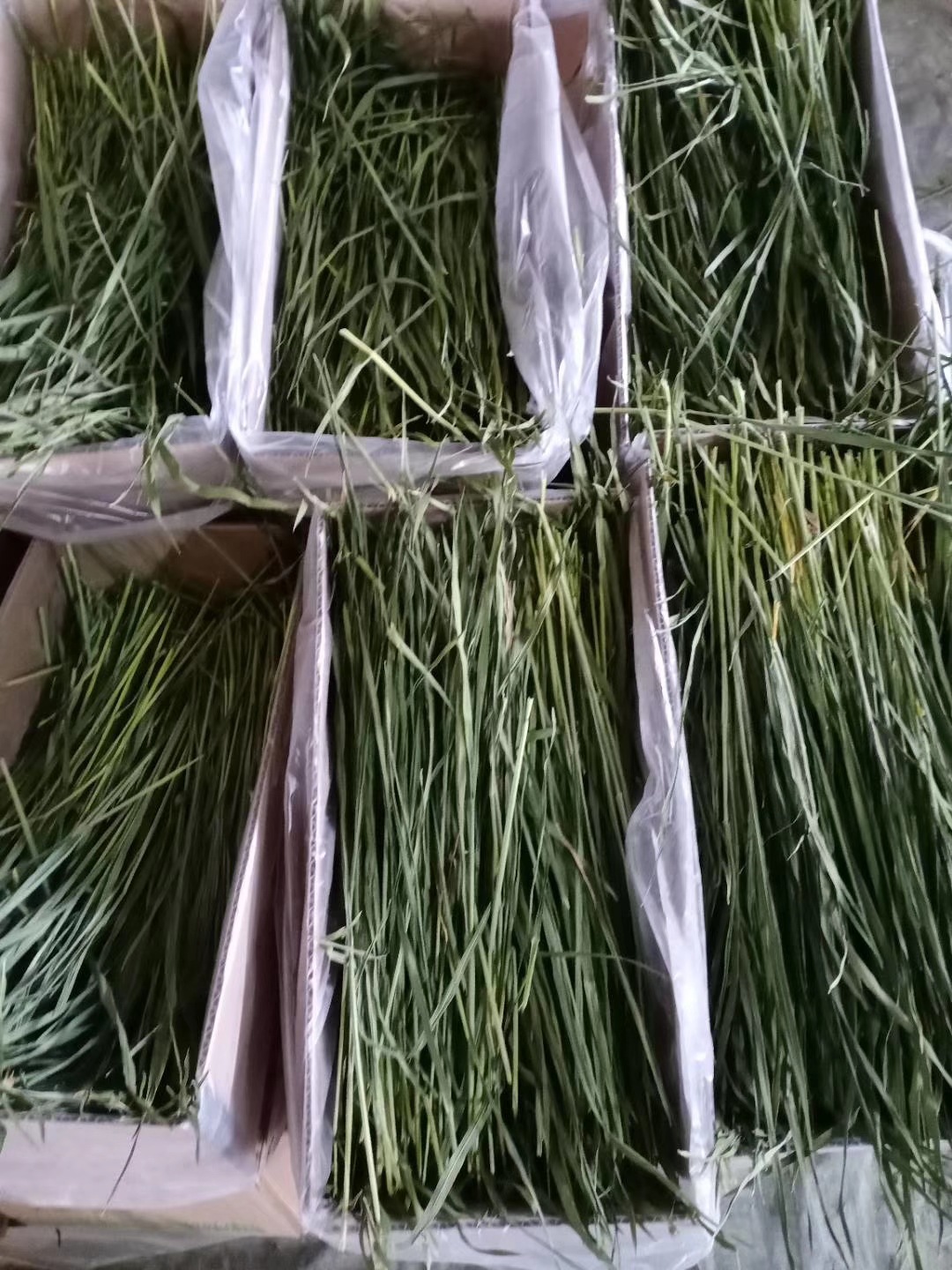 mmexport1587221150336