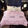厂家批发羽丝绒被6斤8斤冬被芯羽丝绒被礼品被一件代发直播供货|ru