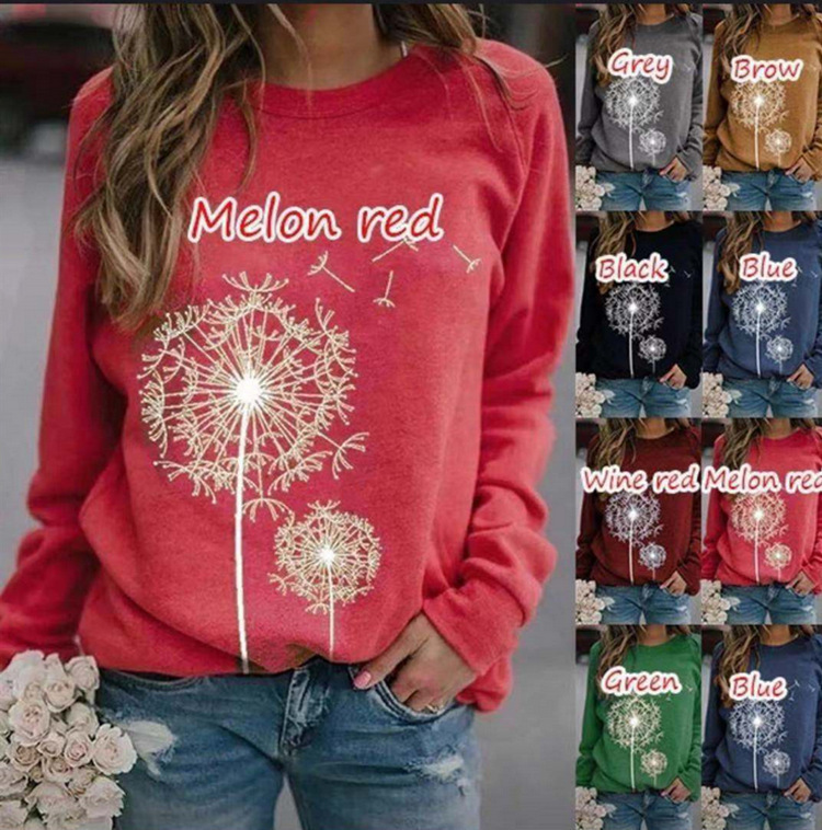 2020 AliExpress WISH European and American hot style dandelion printed long sleeve casual sweater