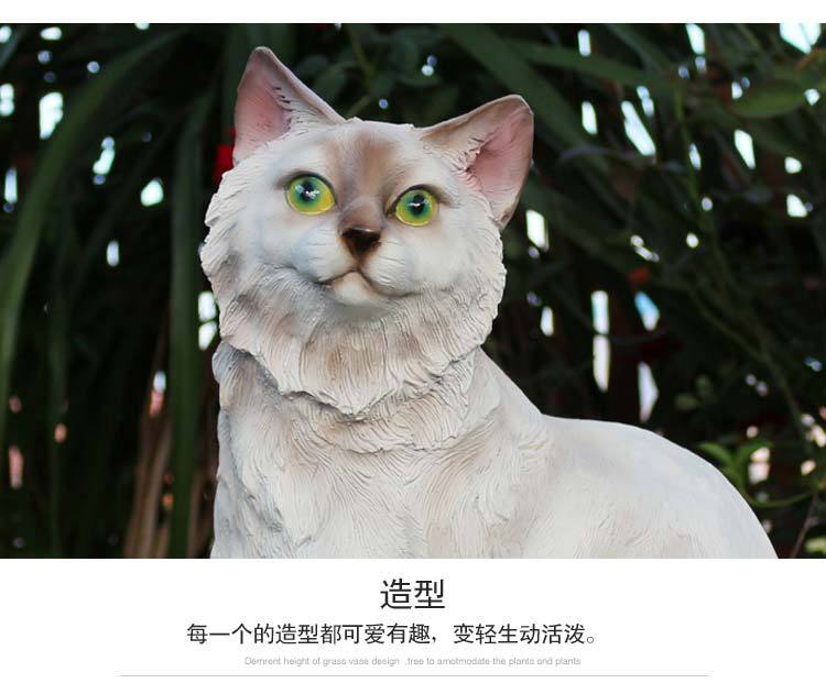 猫咪_17.jpg