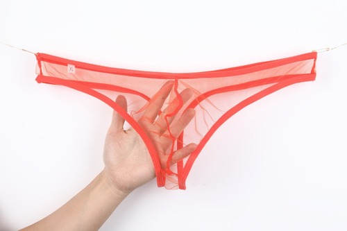 European and American men's underwear transparent pouch low-rise fine mesh G-string large size C-035