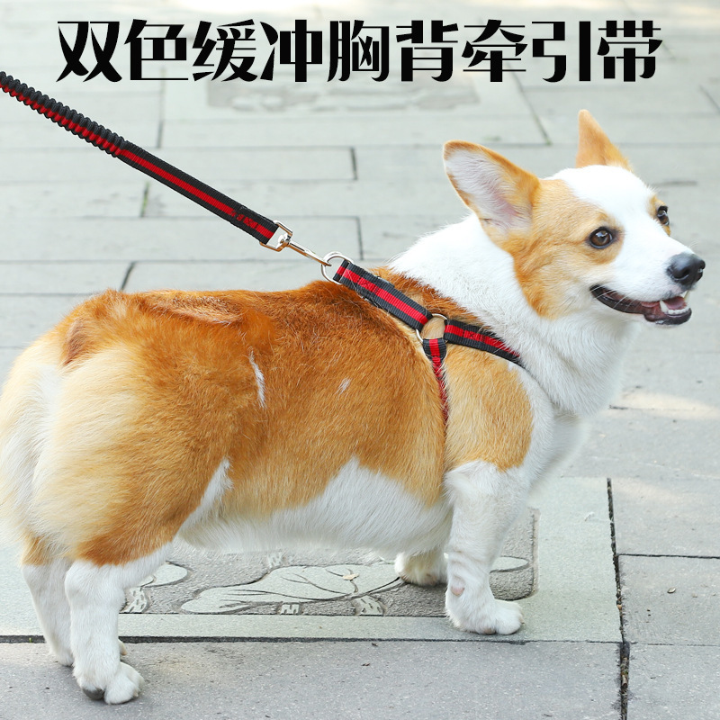 现货批发宠物用品跨境狗狗缓冲绳弹力伸缩遛狗链防冲爆牵引绳背带|ms