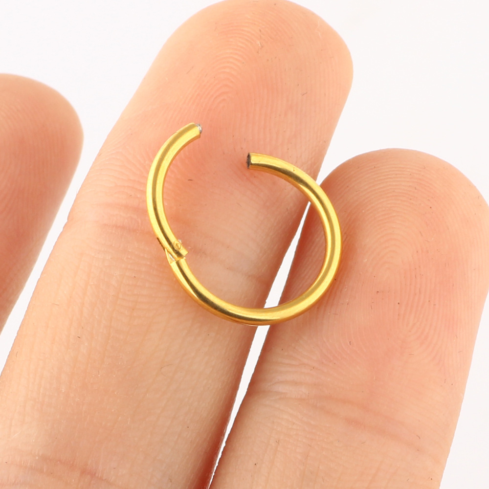 European American Stainless Steel Titanium Steel Nose Ring Earring Body Piercing Jewelry - Flower Design Cherry Motif detail image 9