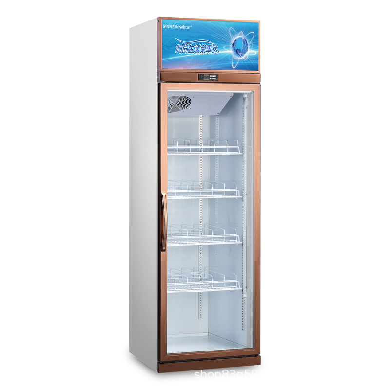 Rongshida Royalstar Manufactor Direct selling new pattern commercial vertical Air Cold storage Freezing Drinks Exhibition Freezer