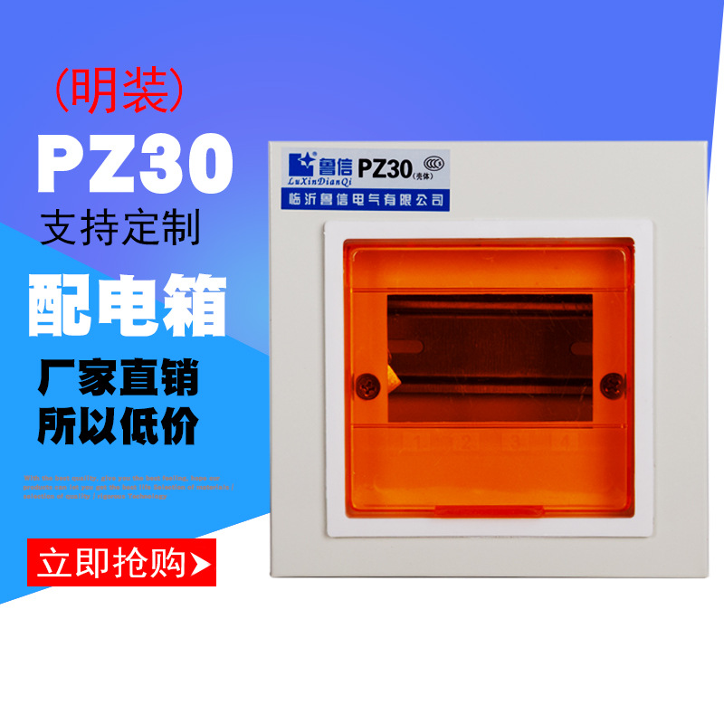 强电开关盒 非标配电箱 家用回路箱 PZ30照明配电箱 明装