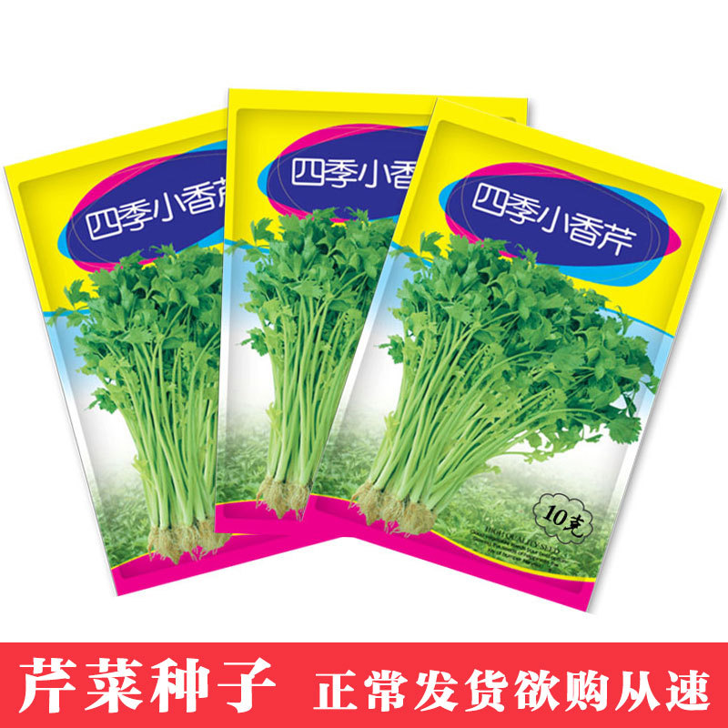 凤鸣雅世 四季小香芹种子10克四季农家蔬菜种子菜种籽种孑批发|ms