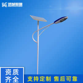 批发太阳能路灯感应灯6米10米路灯头双臂新农村LED路灯生产厂家
