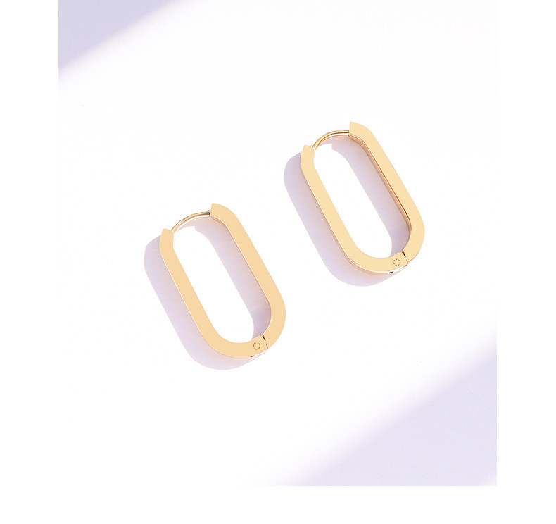 Oval Titanium Steel Earrings display picture 7