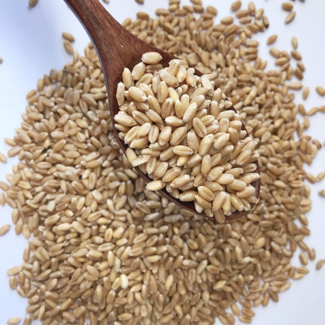 微信图片_202004172204182