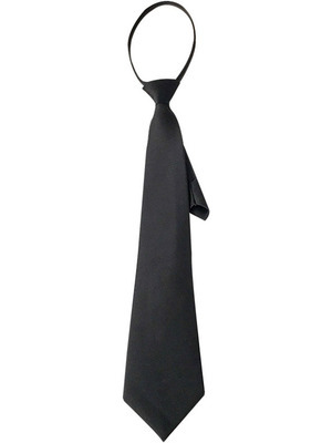 Casual Formal Solid Color Polyester Unisex Tie display picture 1
