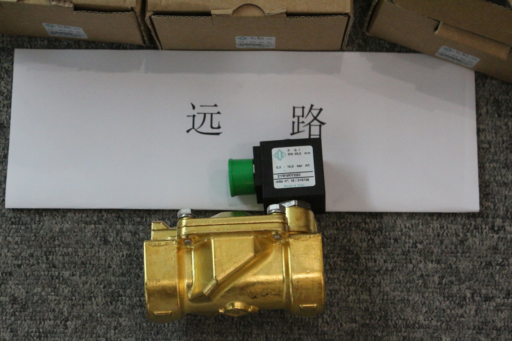 ODE电磁阀，21W4KV250，AC220V