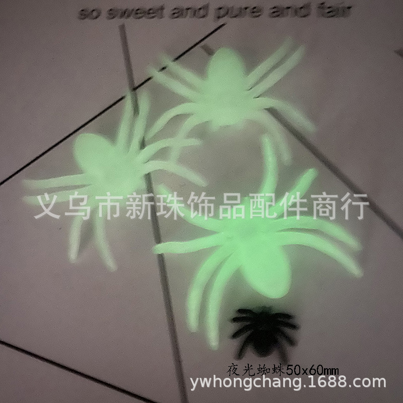 蜘蛛夜光