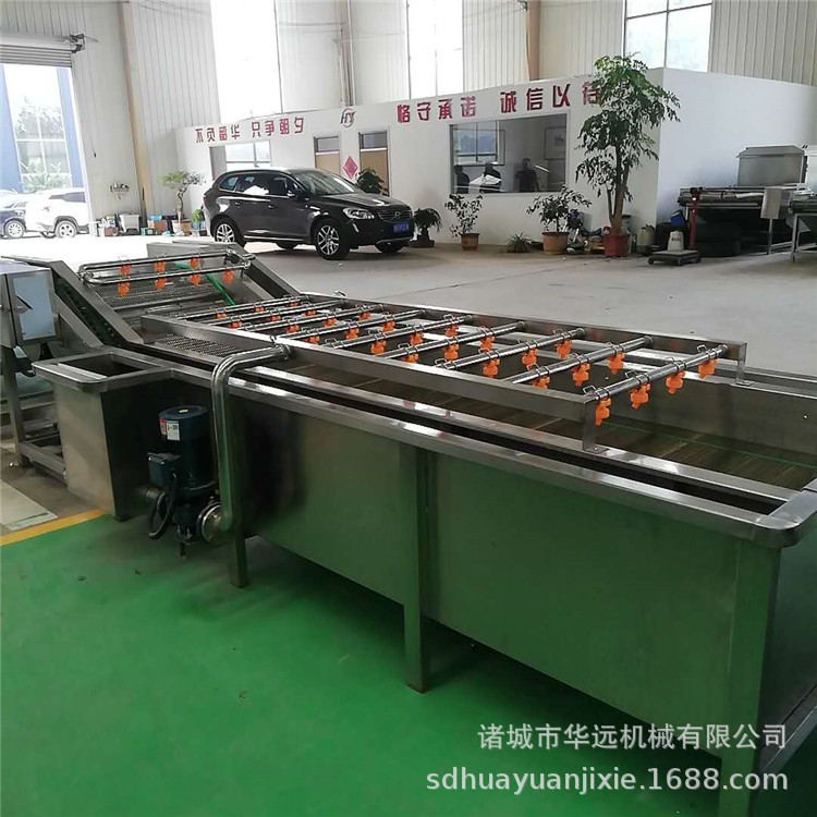 厂家定制不锈钢连续式桑葚李子圣女果气泡清洗机 果蔬清洗设备