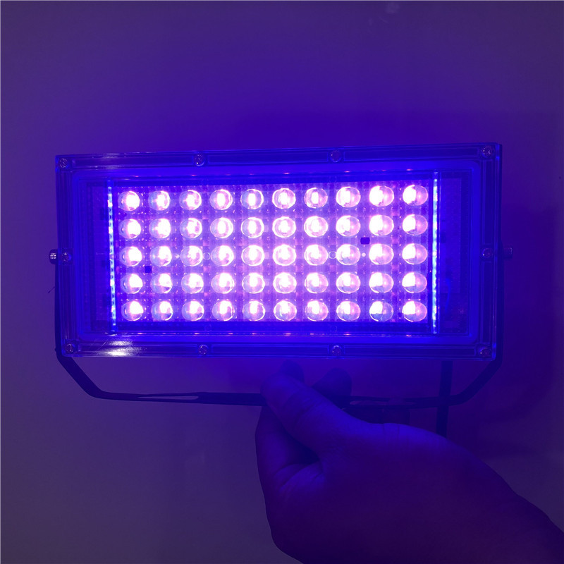 QQ picture 20200328165356.jpg