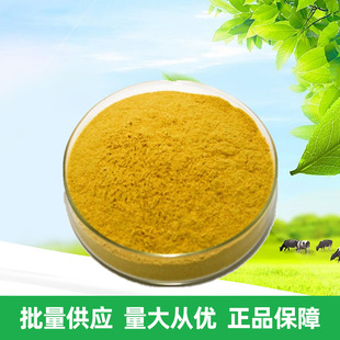 ���N ���Sɫ�� ʳƷ�� ���Sɫ �Sɫ�� �gӭ��ԃ