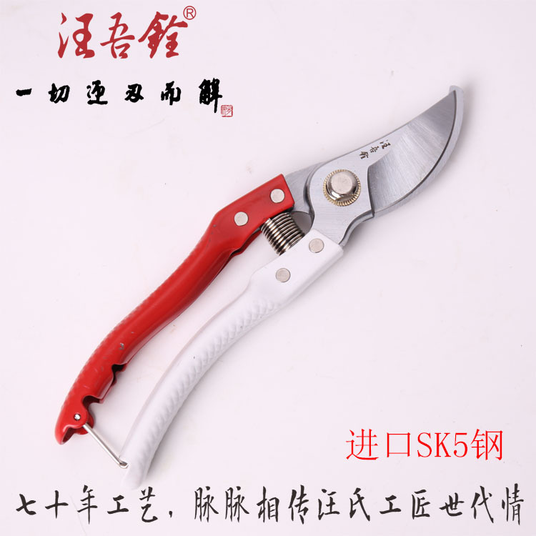 汪吾铨花剪园艺剪刀修枝剪刀2109家用SK5粗枝剪刀果树剪