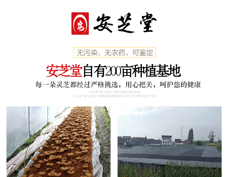 安芝堂详情页_01