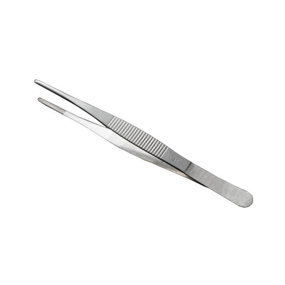Gardening tweezers/stainless steel tweezers/handmade DIY fleshy tool Tweezers clip/12.5 cm-30cm