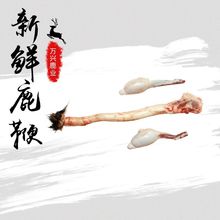 双阳鹿乡梅花鹿鹿鞭新鲜鹿鞭整枝干净源头产地电商供货鹿鞭