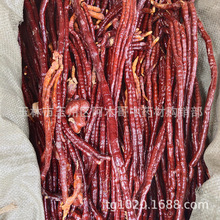 �`֥�� ��ș�� �в�ș ��؛ �`֥ ���˲�