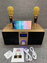 台湾新款SD309无线蓝牙音箱手持麦克风双人合唱K歌一体插卡收音机