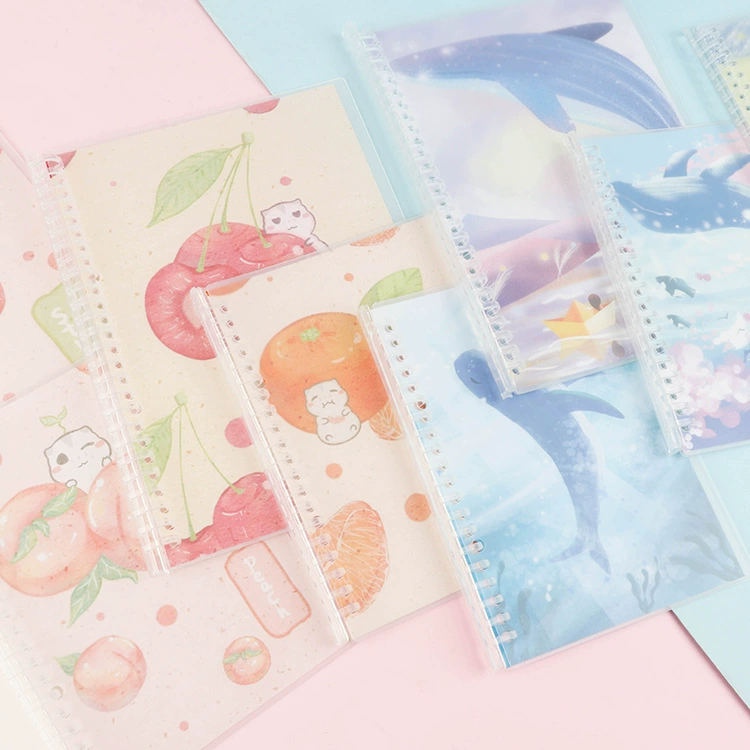 Stationery, suitcase, matte removable accessories, 5b, tear-off sheet