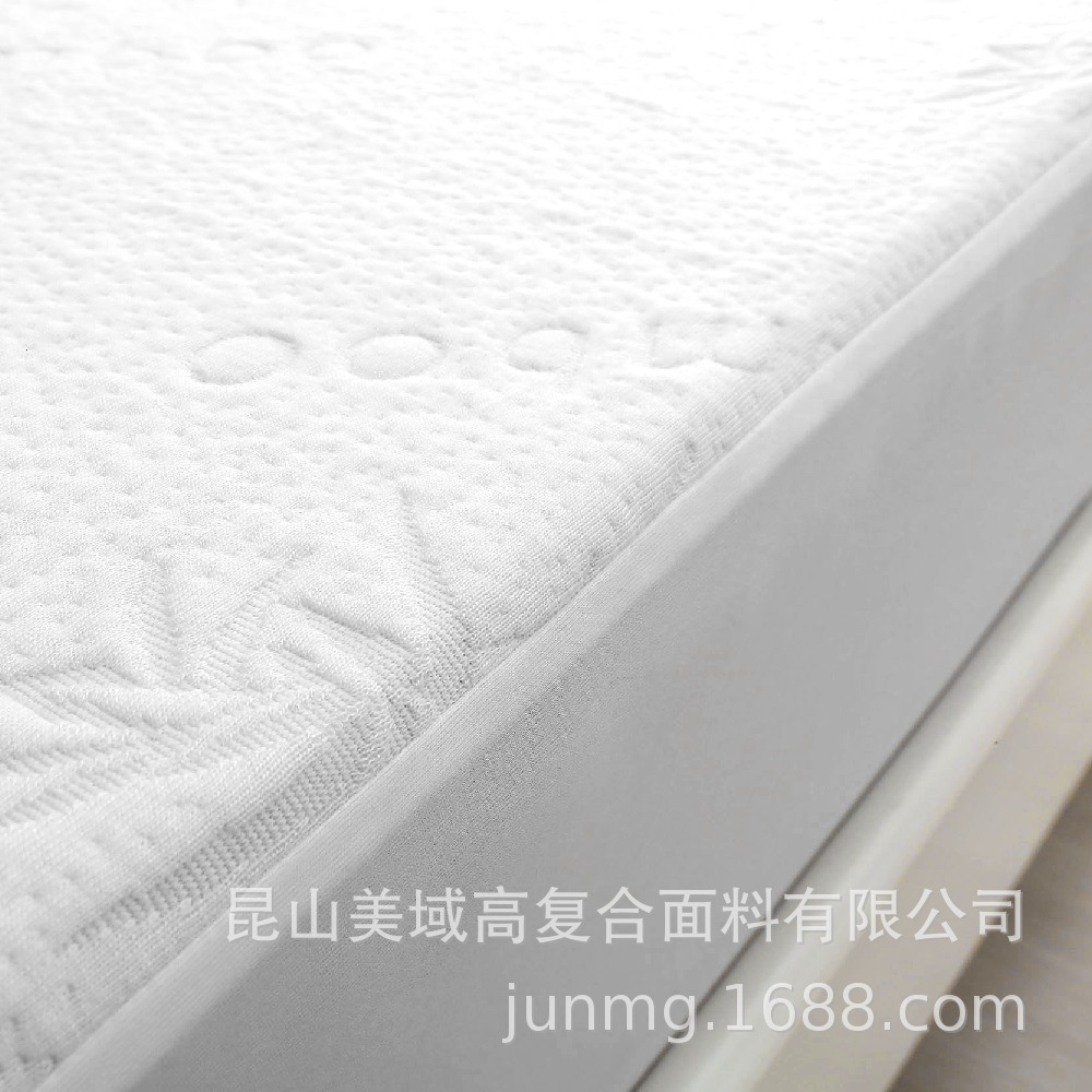 bedbug proof mattress pad.JPG