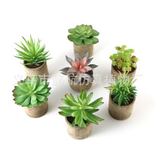 �S��ֱ�N ����С�մ����������辰 ����DIY���滨ֲ���������l